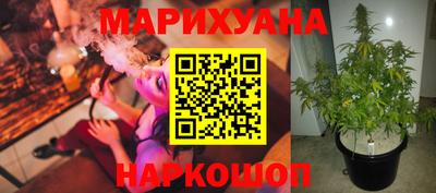 МДПВ Славгород