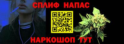 МДПВ Славгород