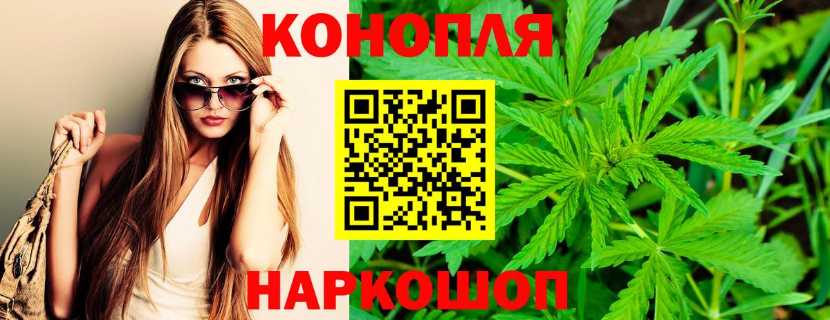 Мурманск  Канабис тримм  Конопля план  Бошки Шишки сатива  Вход с VPN 